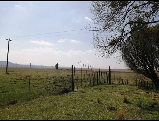 33HA FARM FOR SALE IN INGAGANE
